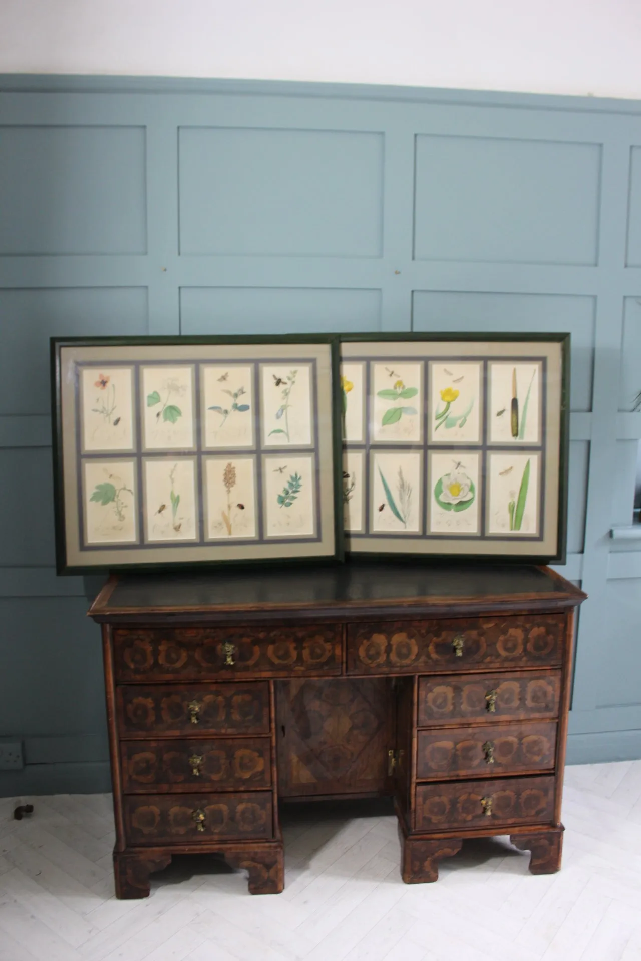 19th century Botanicals with insects