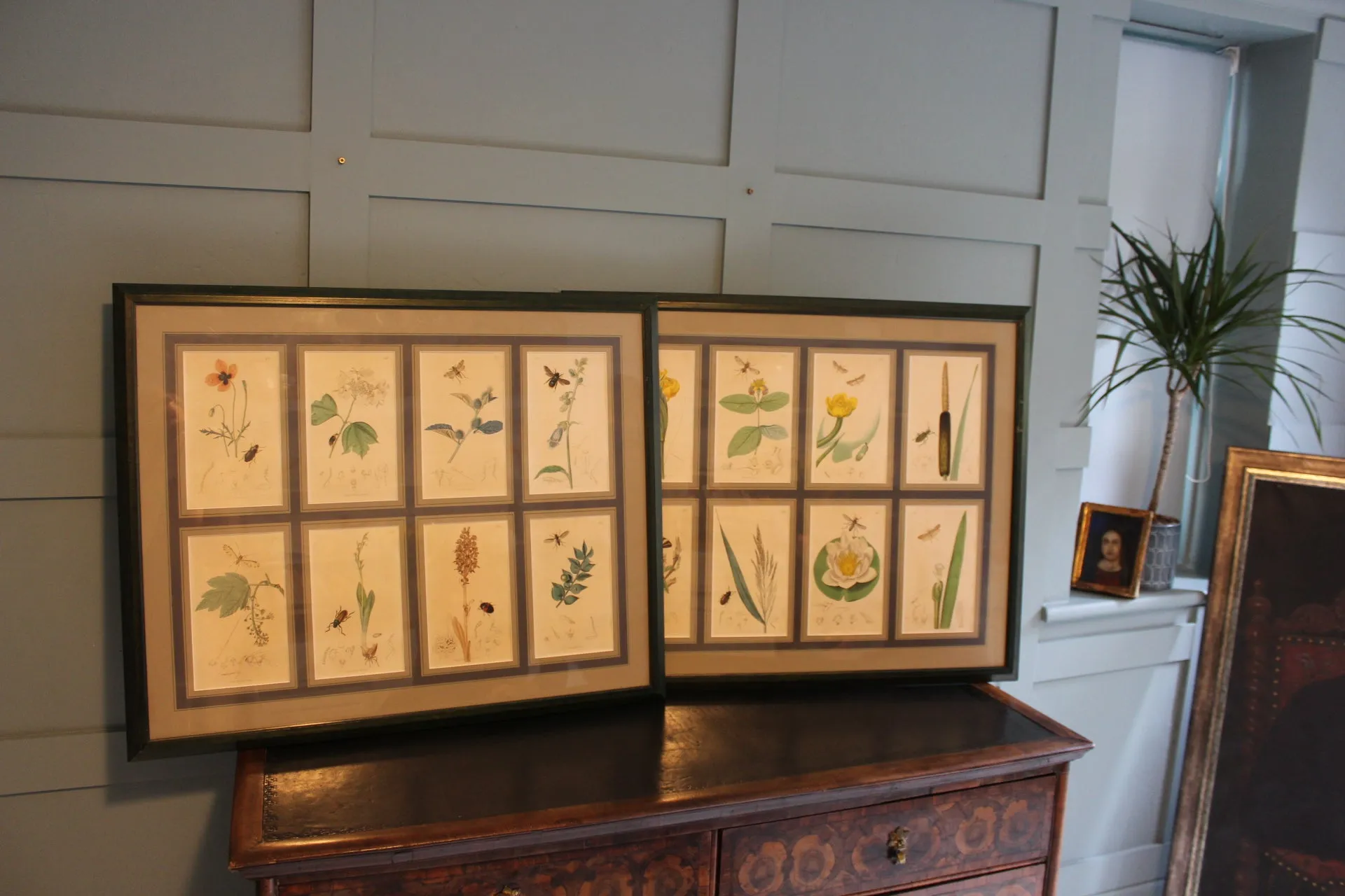 19th century Botanicals with insects