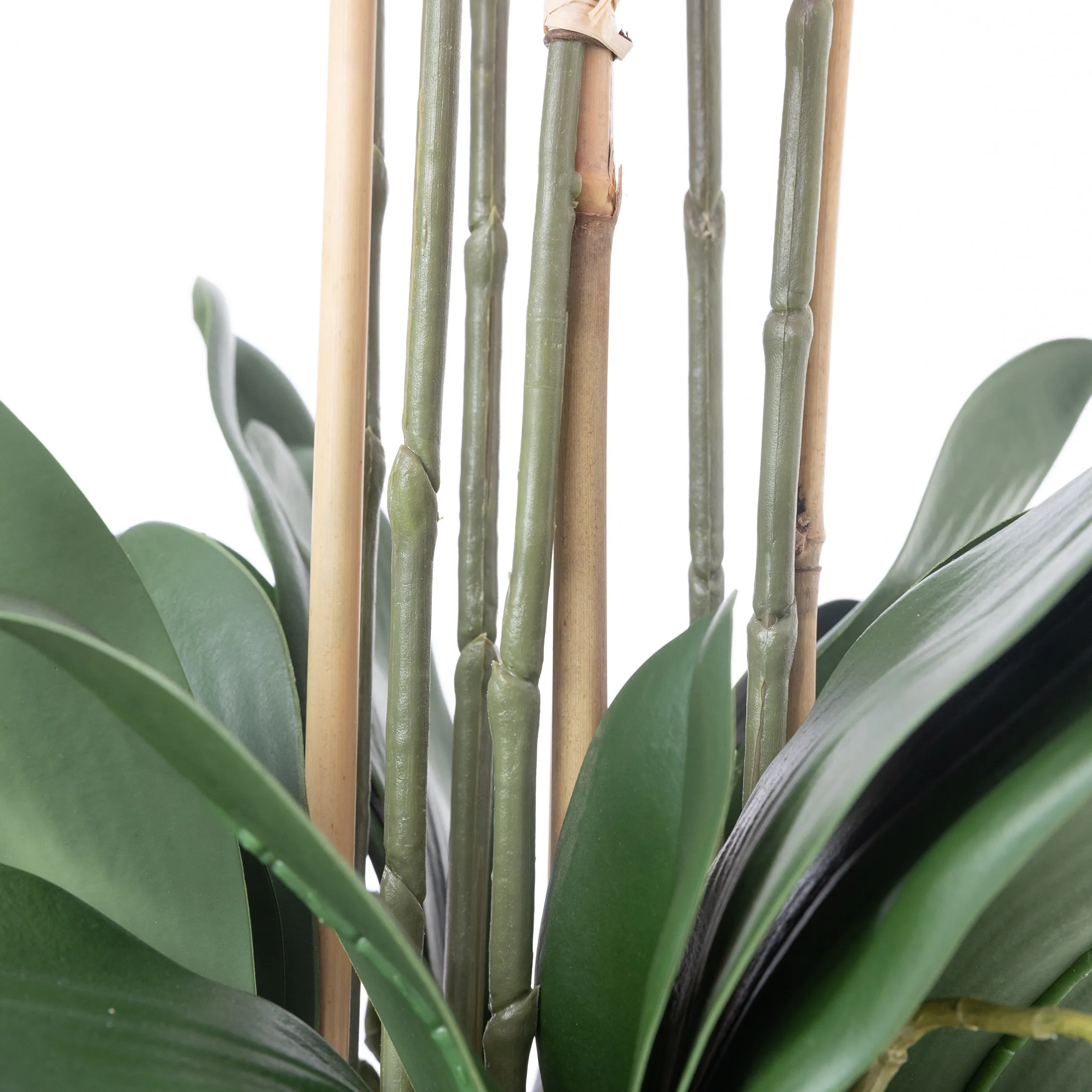 43" Purple Orchids in a Tall Black Planter | Real Touch Purple Moth Phalaenopsis Orchids