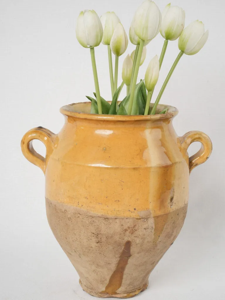 French Terracotta Confit Pot w/ Yellow Glaze - 11"