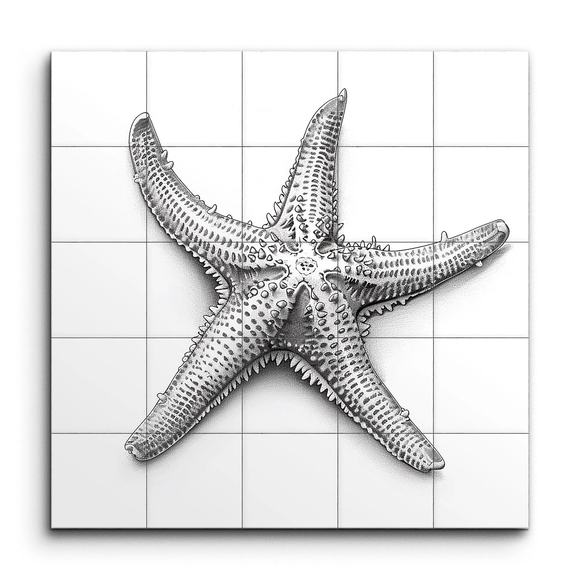 Intricate Starfish: Monochrome Realism Art