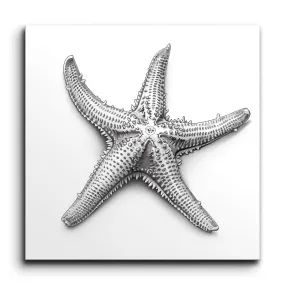 Intricate Starfish: Monochrome Realism Art