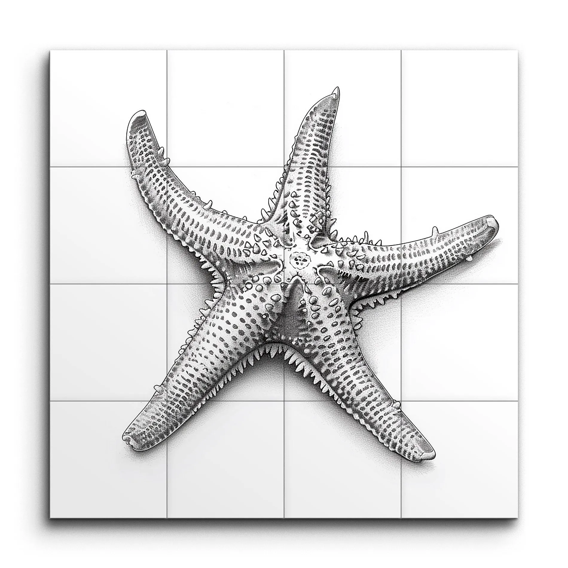 Intricate Starfish: Monochrome Realism Art