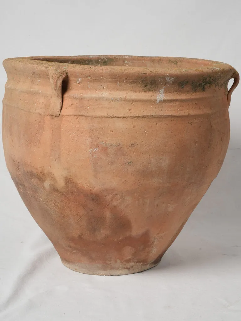 Large 19th-Century Italian Terracotta Pot