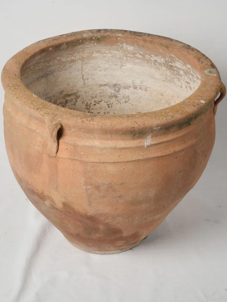 Large 19th-Century Italian Terracotta Pot