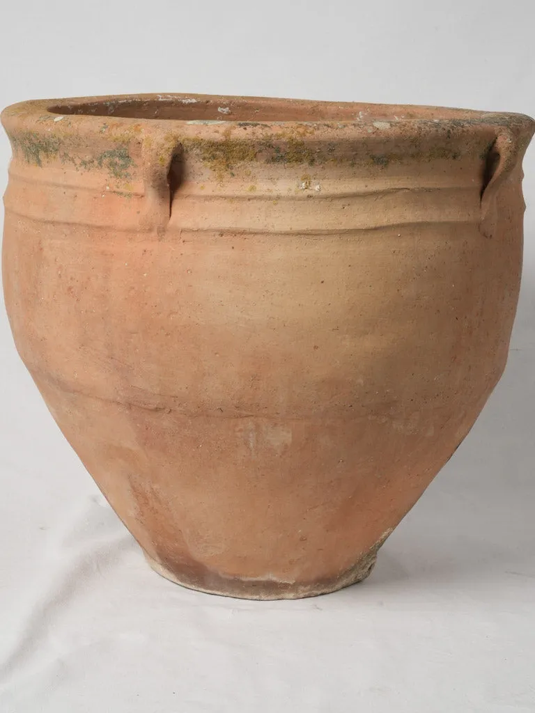 Large 19th-Century Italian Terracotta Pot