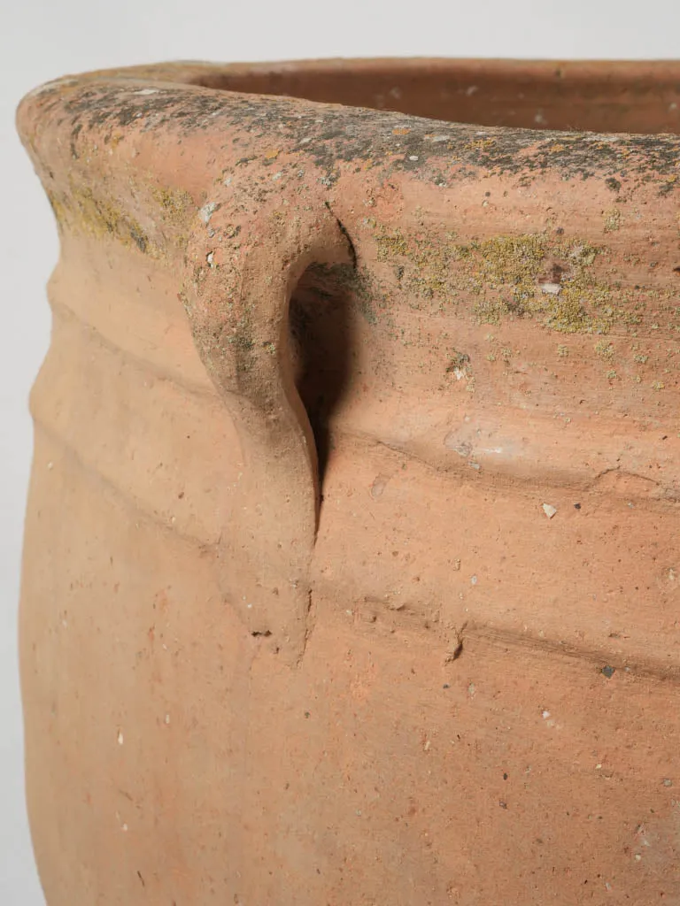 Large 19th-Century Italian Terracotta Pot