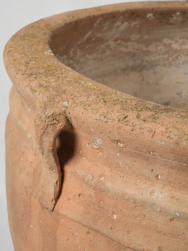 Large 19th-Century Italian Terracotta Pot