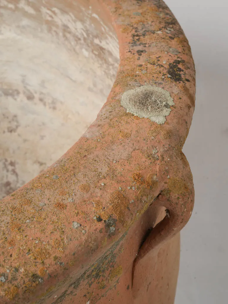 Large 19th-Century Italian Terracotta Pot