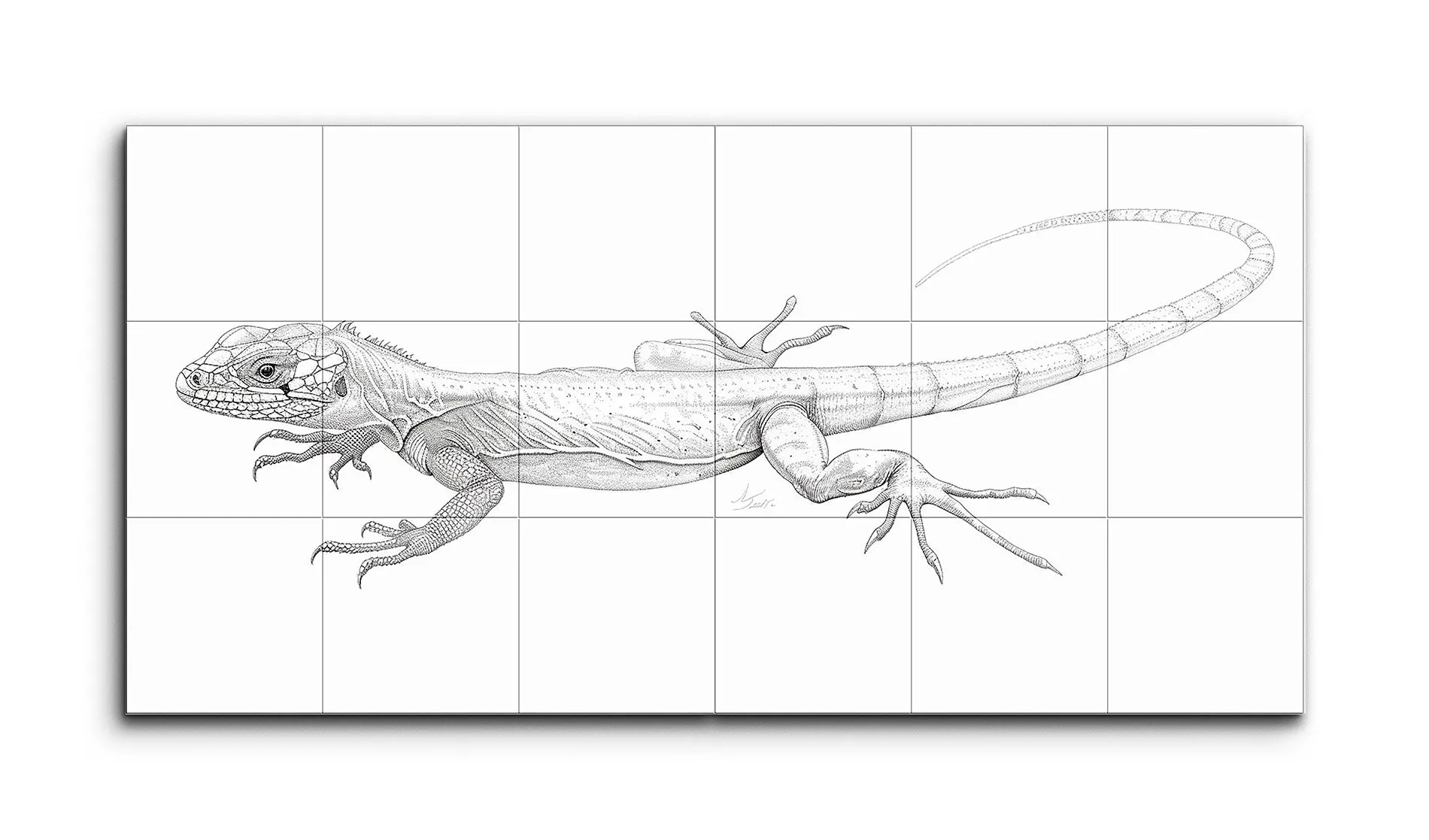 Lifelike Monochromatic Lizard Line Drawing