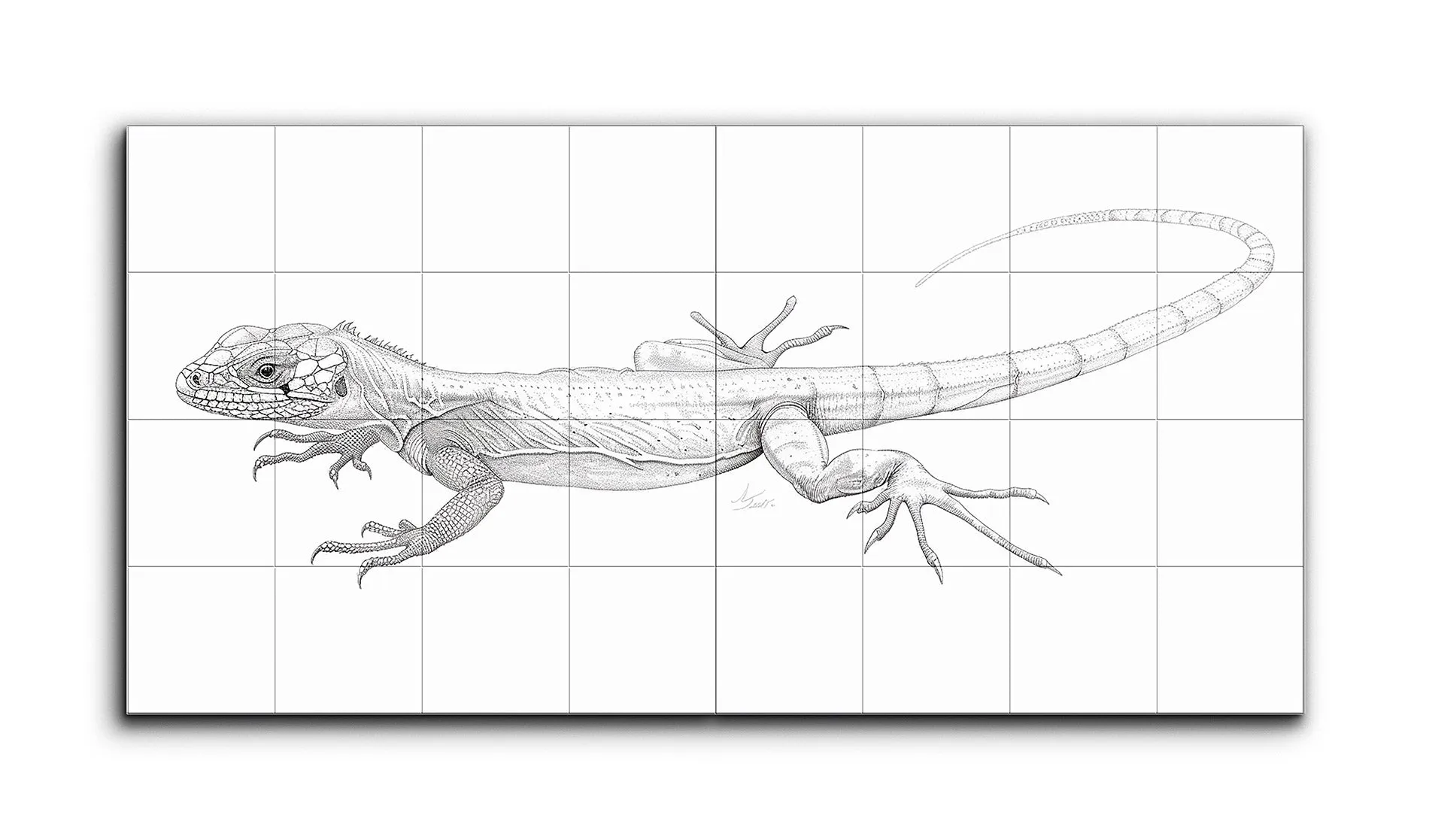 Lifelike Monochromatic Lizard Line Drawing