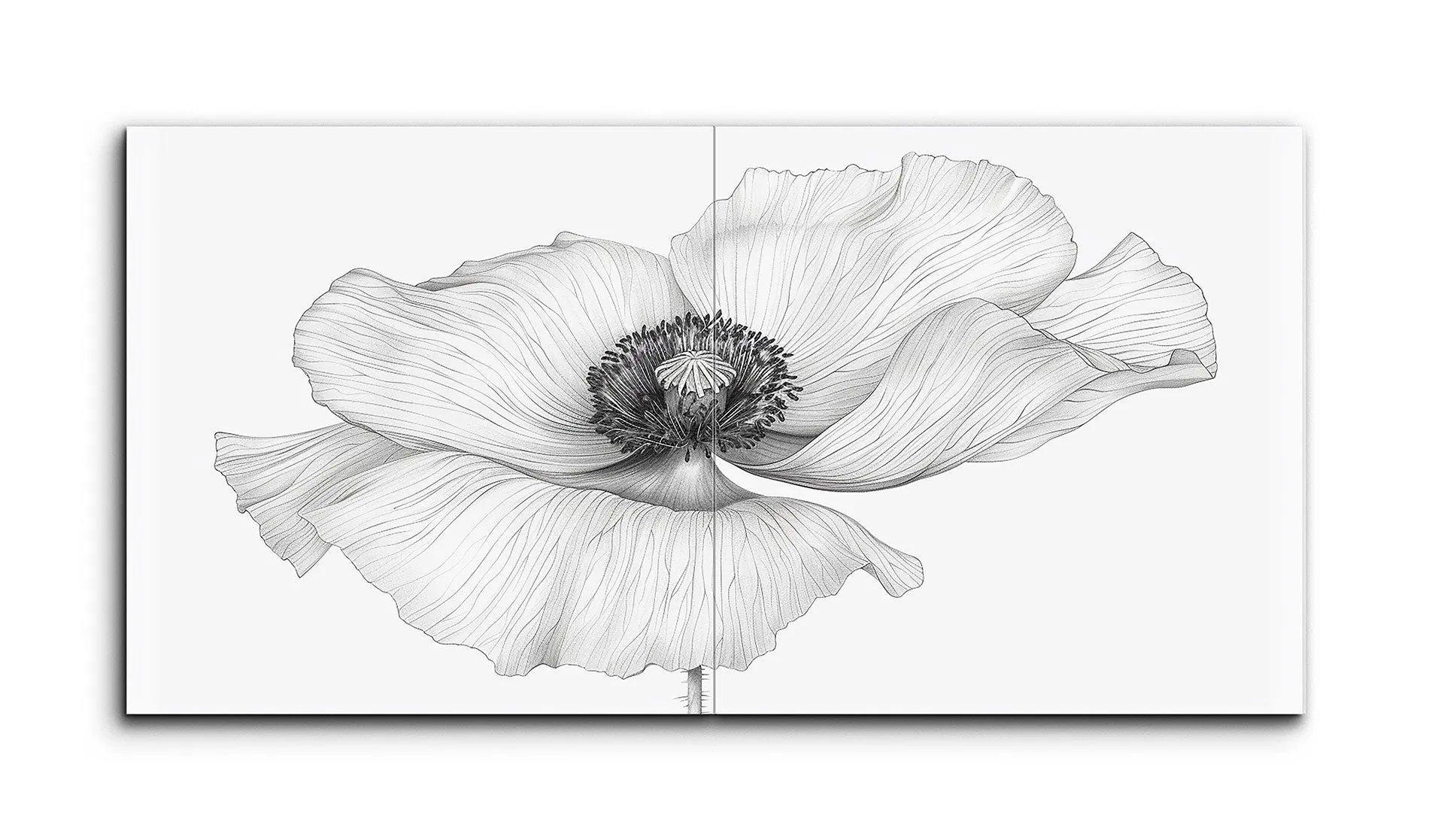 Monochromatic Poppy: Delicate Line Art Flower