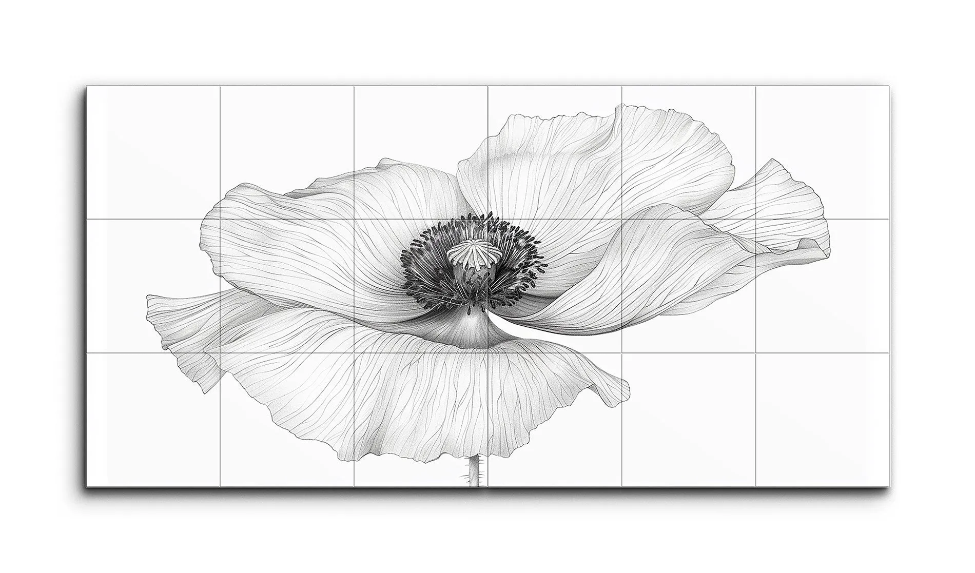 Monochromatic Poppy: Delicate Line Art Flower