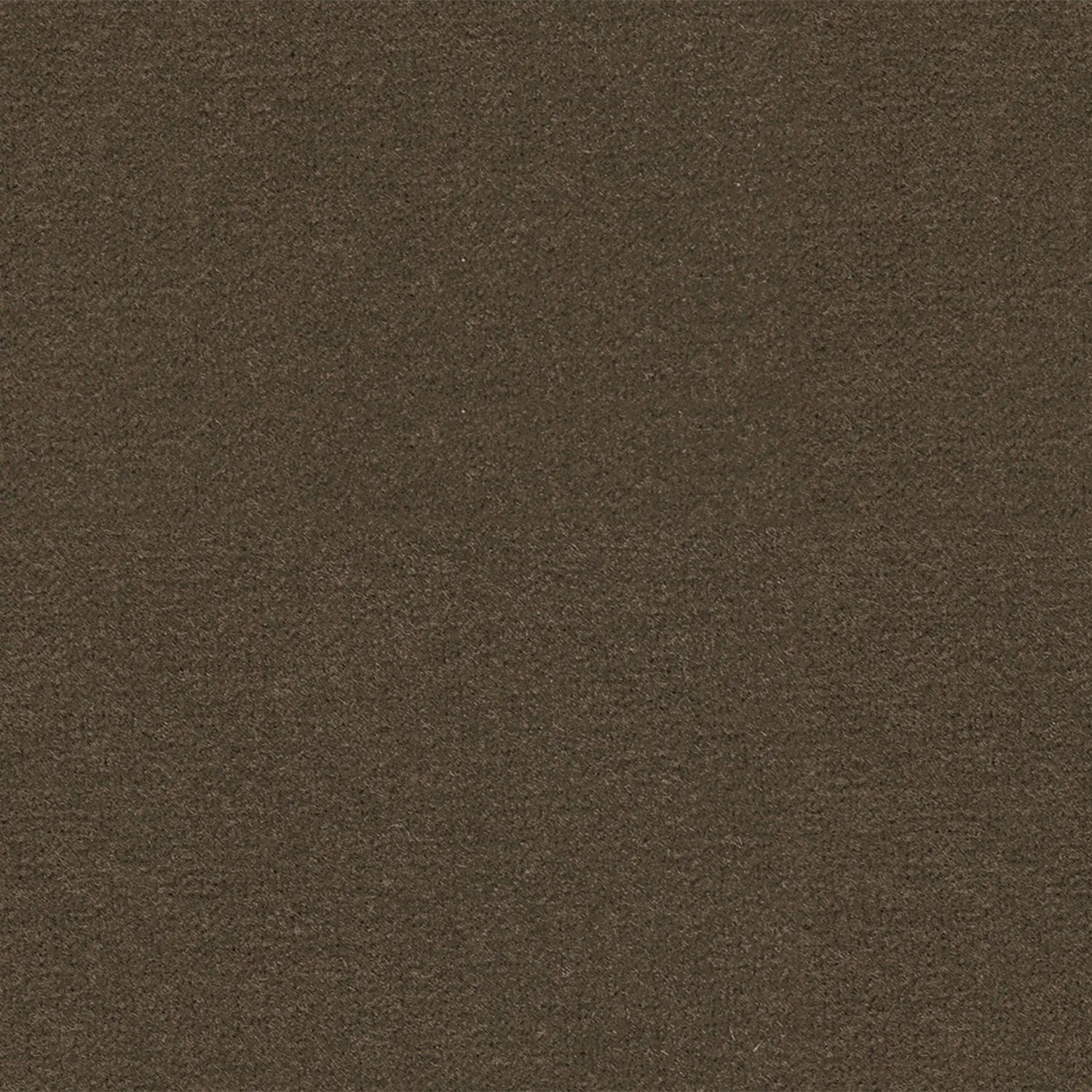 rolf benz | onda sofa | fabric silk grey 24.510   black oak legs