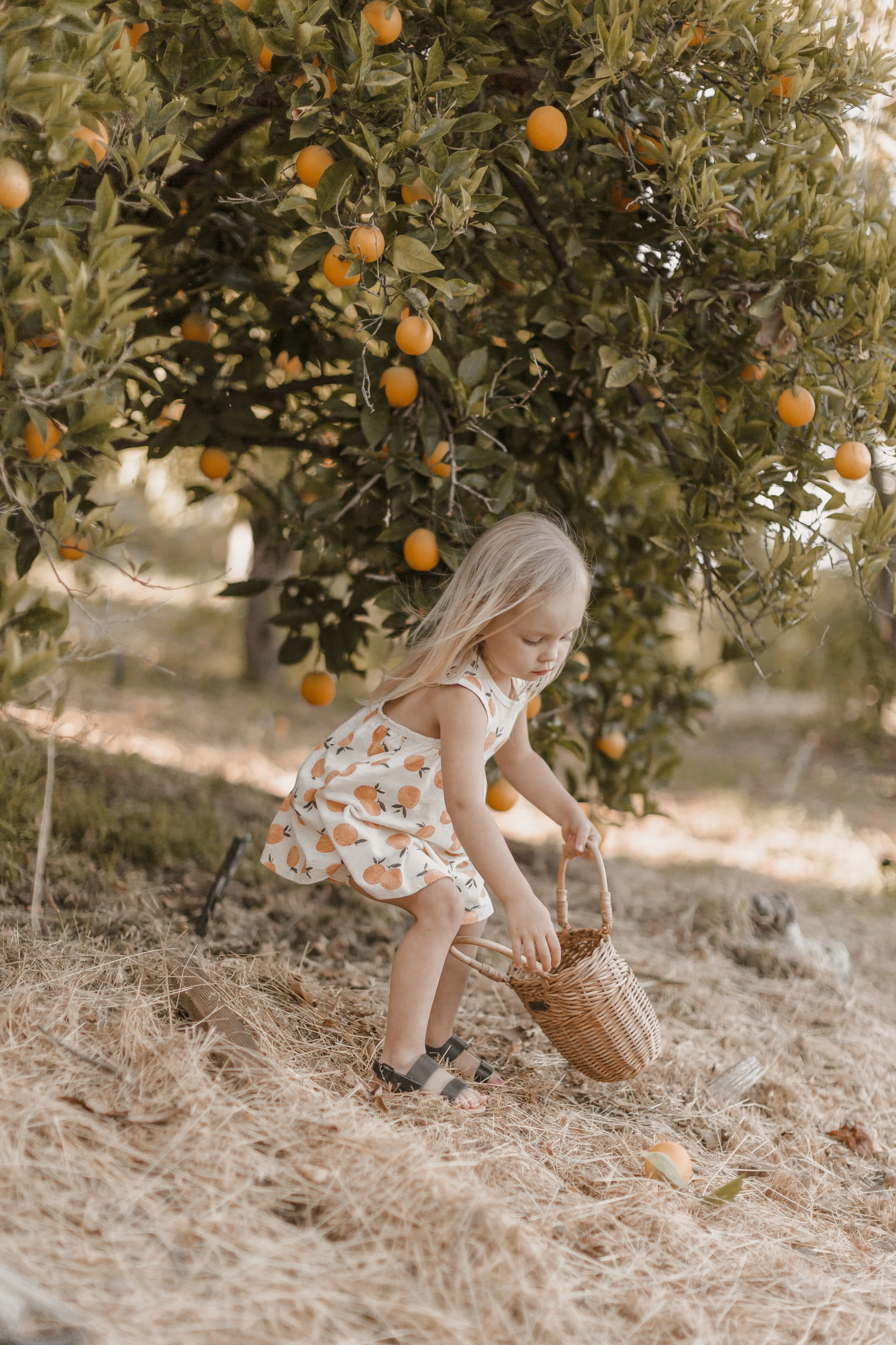 Rylee   Cru Layla Dress - Orange