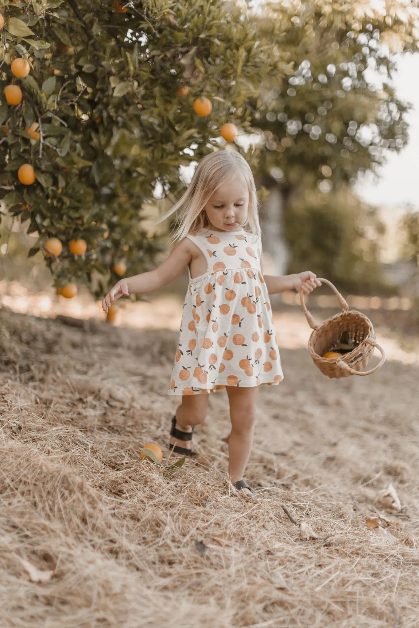 Rylee   Cru Layla Dress - Orange