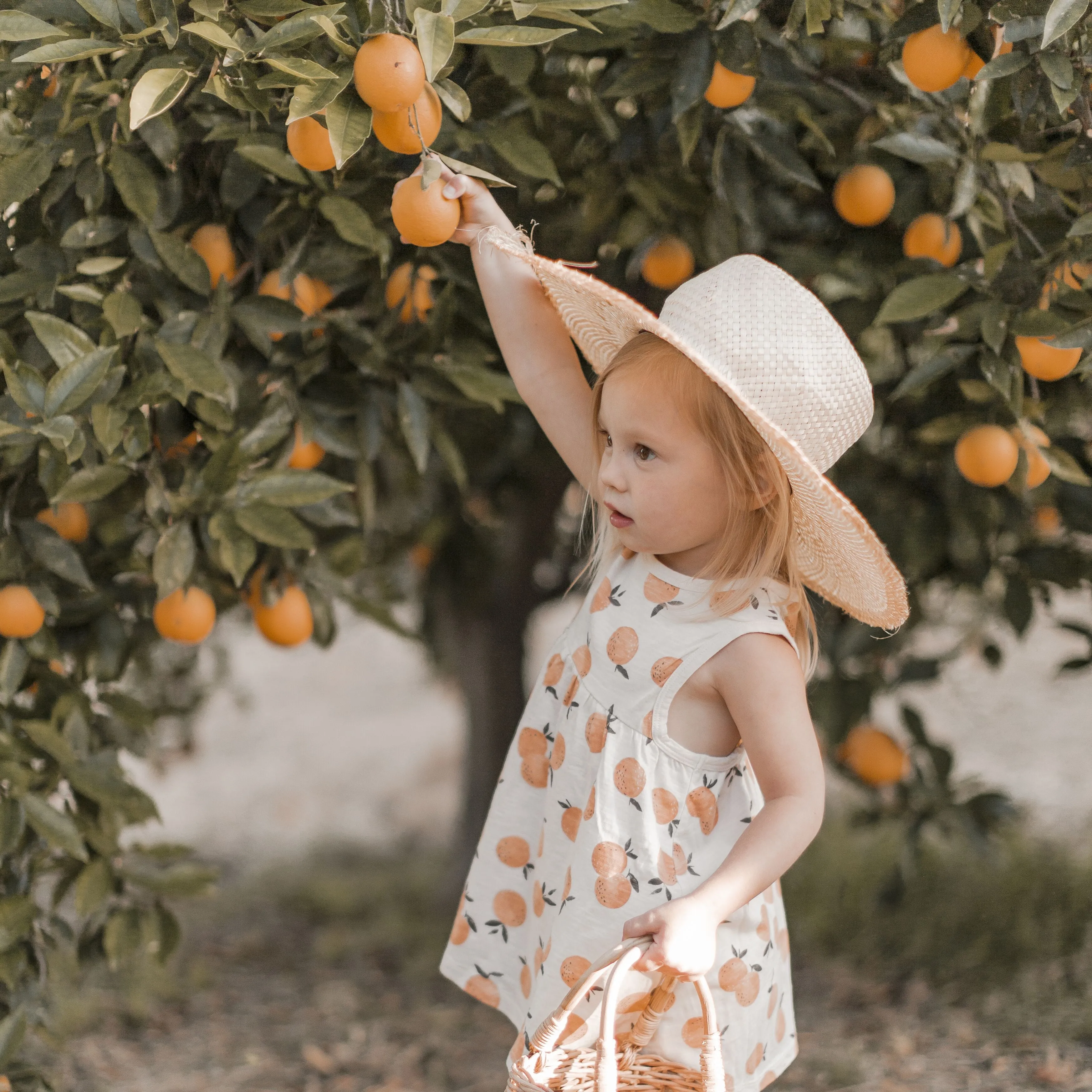 Rylee   Cru Layla Dress - Orange