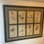 Set of 4 19th Century Botanicals With Insects