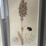 Set of 4 19th Century Botanicals With Insects