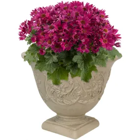 Sunnydaze Darcy Outdoor Polyresin Planter - Beige - 16"