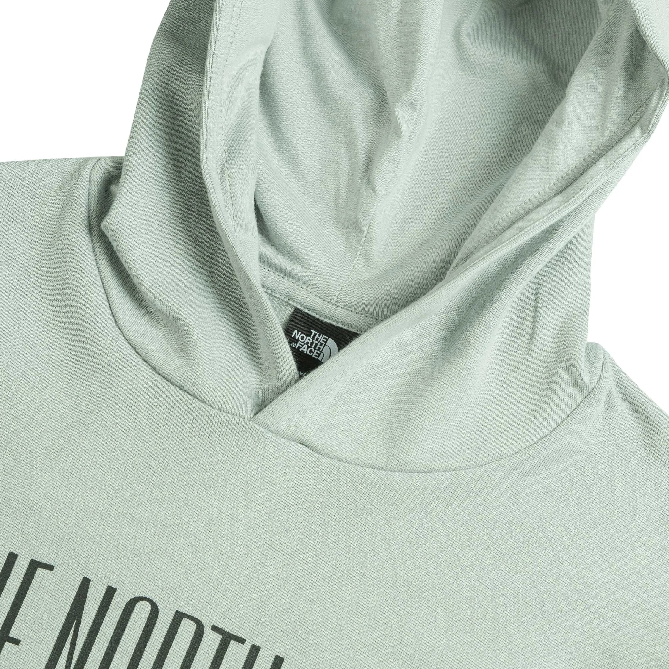 The North Face TNF Est 1966 Hoodie High Rise
