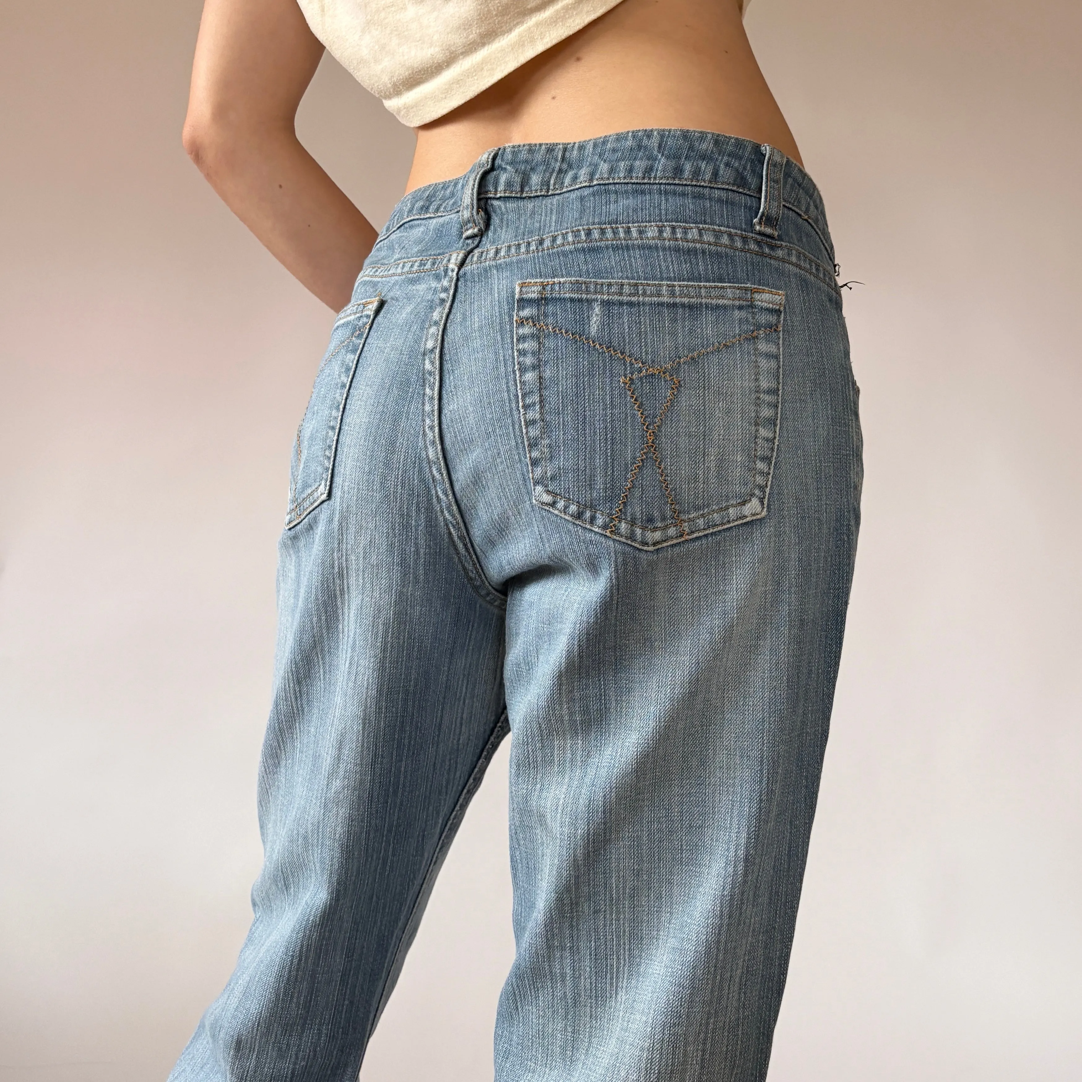 Y2K Low Rise Jeans (L)
